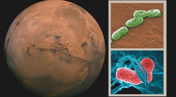 Researchers Identify Two Bacteria Capable of Thriving in Martian Soil