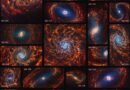 James Webb Telescope Reveals 19 Spiral Galaxies in Unprecedented Detail