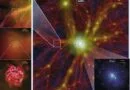 How do Galaxies Expand within the Cosmic Web