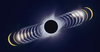 A total solar eclipse with its different phases
